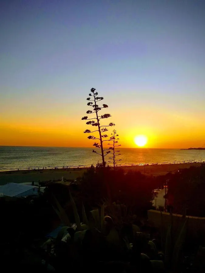 Casa Jurel Apartment Conil De La Frontera Spain